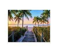 Puzzle 1000 Pièces，Nathan，Cadeau d'anniversaire Unique pour Les Adolescents Et Les Adultes（50x70cm）-A59