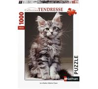 Nathan - Puzzle 1000 pièces - Le chaton Maine Coon - Adultes et enfants dès 14 ans - Puzzle de qualité supérieure - Encastrement parfait - Collection Tendresse - 87643