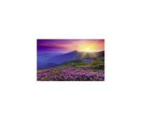 Puzzle 1000 Pièces : Nature Edition N°3 : Prairie de Montagne au Petit Matin, Ravensburger