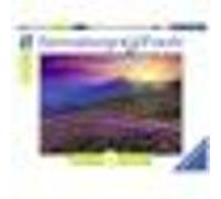 Puzzle 1000 Pièces : Nature Edition N°3 : Prairie de Montagne au Petit Matin, Ravensburger