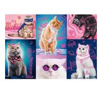 Puzzle 1000 pièces : Neon Color Line : Super chats Trefl G