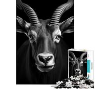 Puzzle 1000 pièces Neuf avec Motif d'anthologie Jeu Relaxant et addictif pour développer la Patience pour Les Couples (Dimensions 38x52cm)