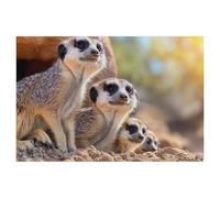 Puzzle 1000 Pièces，Nous Aimons Notre communauté，Casse-tête Animal pour Adultes - Défi Cérébral - Cadeau Personnalisé Fait Main - Jouet Drôle（50x70cm）-AK27