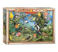 Puzzle 1000 pièces - Oiseaux du jardin (John Francis) - Eurographics - 9+