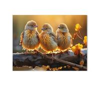 Puzzle 1000 Pièces，Oiseaux, Soleil radieux, n’est-ce Pas !，pour Adultes Adolescents Scies Sauteuses 1000 Pièces Idéal pour La Relaxation Méditation Passe-Temps Cadeau d'anniversaire（75x50cm）-AG25