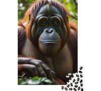 Puzzle 1000 Pièces, Orangutan Borneo, Idée Cadeau Noël, 52x38cm/1000pcs | Pour une activité calme pendant l'hiver : ce puzzle adulte 1000 pièces offre une activité classique pour Noël.