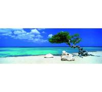 Puzzle 1000 Pièces Panoramique - Alexander Von Humboldt : Arbre De Divi Divi