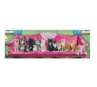 Puzzle 1000 pièces panoramique Eurographics - Kitty Cat Couch multicolore G