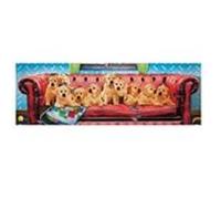 Puzzle 1000 pièces panoramique Eurographics - Lounging Labs multicolore G