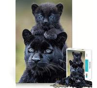 Puzzle 1000 pièces Panthère Noire et Son Petit Portrait Découpe précise Jeu de logique et de détente Décoration de Noël (50x75cm)