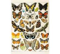Puzzle 1000 pièces : Papillons - Millot G