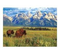 Puzzle 1000 pièces : Parc National de Grand Teton Eurographics G