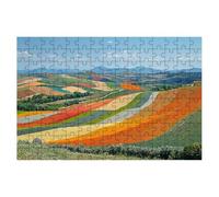 Puzzle 1000 Pieces Paysage, Puzzle Nature Adulte, Puzzles Classiques Jeux Educatifs pour Activité Familiale, Qualité Supérieure Puzzles en Bois avec Boite pour Cadeau Homme Cadeau Femme, Decor -1534