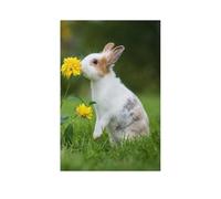 Puzzle 1000 pièces，Petit Lapin Curieux, Animaux de Ferme，Puzzle 1000 Pieces Enfant Jeu d'adresse pour Toute la Famille, Jeu de Placement coloré（38x26cm）-AR29