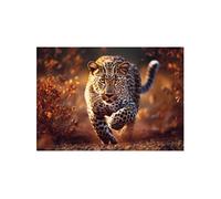 Trefl – Puzzle Premium Plus Quality Photo Odyssey Léopard Sauvage – 1000 pièces – 12+