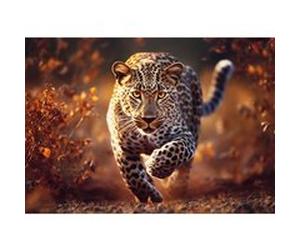 Puzzle 1000 pièces : Photo Odyssée : Léopard sauvage G