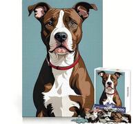 Puzzle 1000 pièces Pitbull Adulte Marron et Blanc Idéal pour stimuler l'esprit,se détendre et Faire Le Plein d'énergie Cadeau de Noël Parfait (38x52cm)