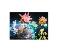 Puzzle 1000 pièces : Planète Terre 2020 G