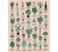 Puzzle 1000 pièces : Plantes d'intérieur Galison G