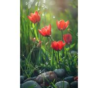 Puzzle 1000 Pieces Plantes, Jeu éducatif Défi Jouets Stimule Concentration et Imagination, Puzzle Adulte 1000 Pièces 75 x 50 cm