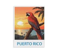 Puzzle 1000 pièces, Porto Rico, Grand Jeu de Puzzle Familial pour Adultes et Adolescents - X271-38x52cm