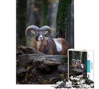 Puzzle 1000 pièces Portrait majestueux d'un Mouflon dans Un décor forestier Puzzle 1000 pièces Décoration intérieure Jouet Idéal comme Cadeau (38x26cm)