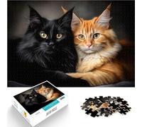 Puzzle 1000 pièces pour Adolescents Chats Maine Coon Noirs et Oranges Jeu Pratique avec des pièces de Formes aléatoires entièrement imbriquées 52x38cm