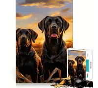 Puzzle 1000 pièces pour Adolescents, Deux Labradors, décoration soignée, Jeu d'exercice Mental, Jeu de détente, Cadeau Amusant de Noël (38x52cm)
