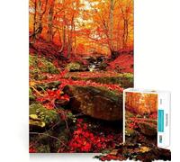 Puzzle 1000 pièces pour Adolescents Forêt d'automne Ruisseau Bords Nets Jeu de réflexion Jeu de lenteur Activité Amusante d'anniversaire (50x75cm)