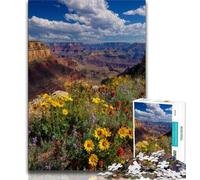 Puzzle 1000 pièces pour Adolescents Magnifique rivière de Montagne pour Adultes et Adolescents pour renforcer l'amour Entre Les Couples à partir de 14 Ans 38x26cm