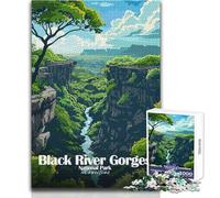 Puzzle 1000 pièces pour Adolescents - Parc National des Gorges de la Rivière Noire, Maurice - Jeu au Design Magnifique et au défi Stimulant - Jouet Anti-Stress - Dimensions 38x52cm
