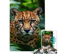 Puzzle 1000 pièces pour Adolescents Portrait de Jaguar dans Un Feuillage Vert Luxuriant Modèle Difficile et Stimulant Jeu Impossible à Assembler Convient aux Personnes de 14 Ans et Plus (38x26cm)