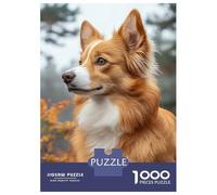 Puzzle 1000 Pièces pour Adolescents Portrait of A Ginger and White Dog Puzzles pour Adultes pour S'amuser en Famille Stimule Le Cerveau Jeu Au Design Élégant 70x50cm/1000pcs