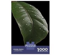 Puzzle 1000 Pièces pour Adolescents Rainy Banana Leaf Puzzle pour Adultes Jeu Manuel Difficile Excellent Cadeau Anti-Stress 38x26cm/1000pcs