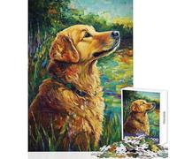 Puzzle 1000 pièces pour Adolescents Regard doré Un Moment de sérénité chez Un Chien Jeu de réflexion pour Adultes découpe de précision Cadeau Anti-Stress (38x26cm)