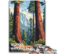 Puzzle 1000 pièces pour Adolescents Sequoia Splendor, Puzzle 1000 pièces, Interaction Parent-Enfant intéressante pour réduire Le Stress (50x75cm)
