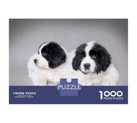 Puzzle 1000 Pièces pour Adolescents Two Landseer Puppies Puzzles pour Adolescents, Casse-tête, Jeu D'assemblage De Motifs, Cadeau d'anniversaire Unique 52x38cm/1000pcs