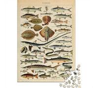 Puzzle 1000 pièces pour Adultes, Adolphe Millot Fish