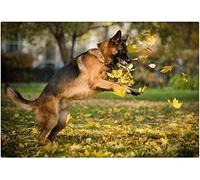 Puzzle 1000 pièces pour Adultes Berger Allemand Jouant avec des Feuilles Peinture Artistique 26x38cm