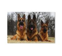 Puzzle 1000 pièces pour Adultes, Berger Allemand, pour Enfants, Adolescents et Grandes familles, 26 x 38 cm