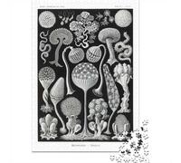 Puzzle 1000 pièces pour Adultes, Black and White Mushrooms