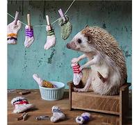 Puzzle 1000 pièces pour adultes - Chaussettes de lavage hérisson - Pièces de puzzle durables, jeu de famille amusant ou cadeau de jouet éducatif 26x38cm