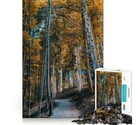Puzzle 1000 pièces pour Adultes Chemin forestier d'automne Jeu de Construction et de réflexion Jeu Amusant et Relaxant Activité d'anniversaire (50x75cm)