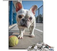 Puzzle 1000 pièces pour Adultes et Adolescents Carlin Jouant au Tennis, Jeux éducatifs, décoration d'intérieur, Convient pour la décoration de Bureau (Taille 26x38cm)