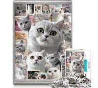 Puzzle 1000 pièces pour Adultes et Adolescents, Collage de Chats British Shorthair, Jouets éducatifs, Jeux Anti-Stress, Cadeaux d'anniversaire Uniques (38x26cm)