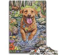 Puzzle 1000 pièces pour Adultes et Adolescents Happy Labrador Jeu éducatif Familial Offrez-Vous des Cadeaux pour Toute la Famille à partir de 14 Ans 26x38cm