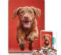 Puzzle 1000 pièces pour Adultes et Adolescents Labrador Heureux, Jouets éducatifs pour la Famille, Jeu éducatif pour Anniversaire, Noël (75x50cm)