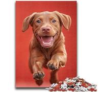 Puzzle 1000 pièces pour Adultes et Adolescents Labrador Heureux pour Les 14 Ans et Plus Jouets Anti-Stress Cadeau d'anniversaire de Noël 26x38cm