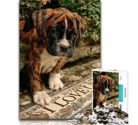 Puzzle 1000 pièces pour Adultes et Adolescents Puzzle Chiot près de la fenêtre pour Adolescents Parfait pour Les soirées de Jeux Jouet coloré pour la Maison Cadeau 75x50cm