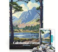 Puzzle 1000 pièces pour Adultes Forêt calédonienne, Paysage écossais Jeu de Manipulation, activité ludique à la Maison, pour Les Amateurs de Jeux vidéo 38x26cm